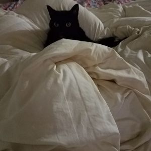 Meet your Posher, Claudia